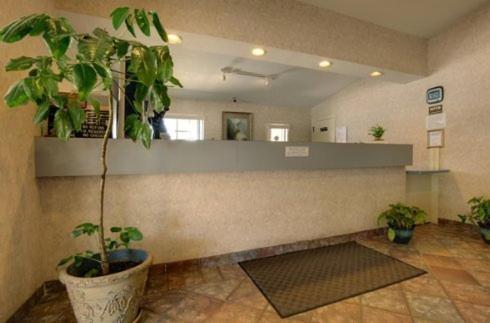 Edinburg Executive Inn 外观 照片